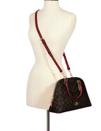 COACH®  Katy Satchel