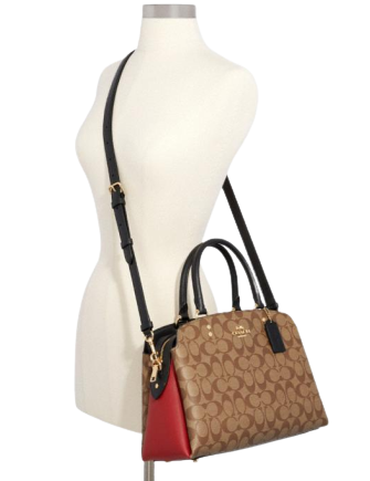 Lillie carryall online in colorblock