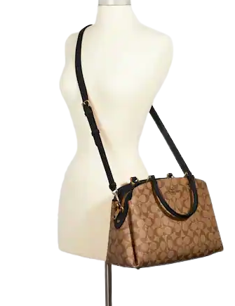 Mini lillie carryall in blocked signature canvas cheap