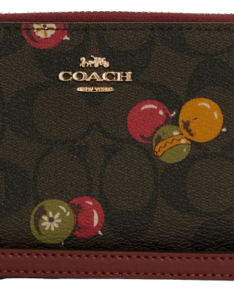 Coach Long Zip Around Wallet In Signature Canvas With Ornament Print