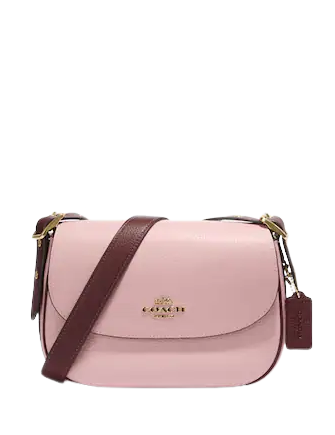 Coach saddle 2025 crossbody bag