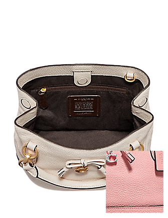 Coach micro ally bucket bag hotsell
