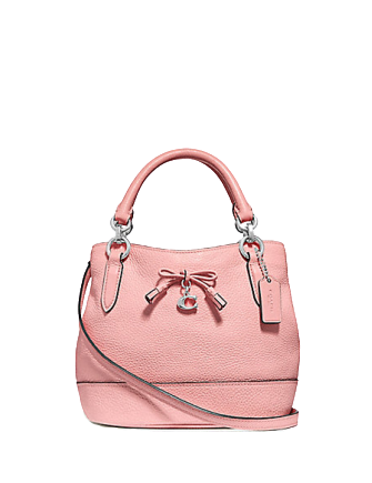 Coach Micro Ally Bucket Bag