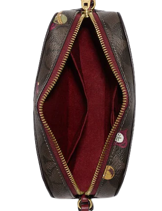 Monogram mini discount camera crossbody bag