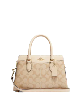 Coach mini sage carryall discount in signature canvas