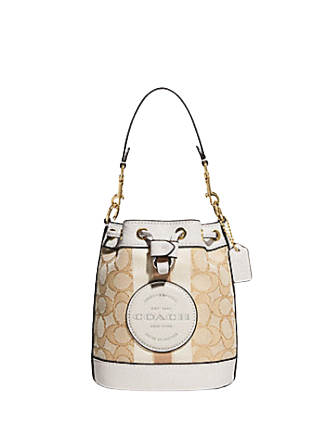 Coach mini bucket bag online