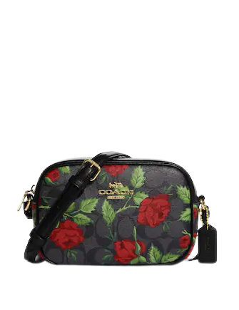 Coach Mini Jamie Camera Bag In Signature Canvas With Fairytale Rose Print Brixton Baker