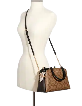 Mini lillie carryall online in colorblock