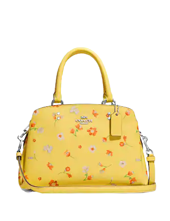 Coach Coach Mini Lillie Carryall With Mystical Floral Print