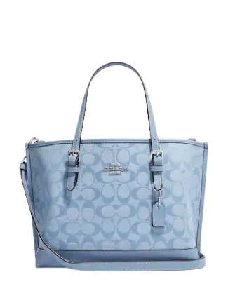 Powder blue coach purse hotsell