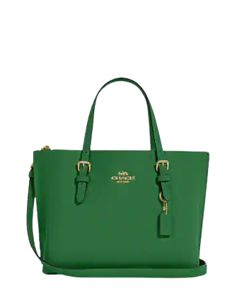 coach-mollie-tote-34_1024x1024