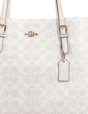 Coach Mollie Tote In Signature Canvas