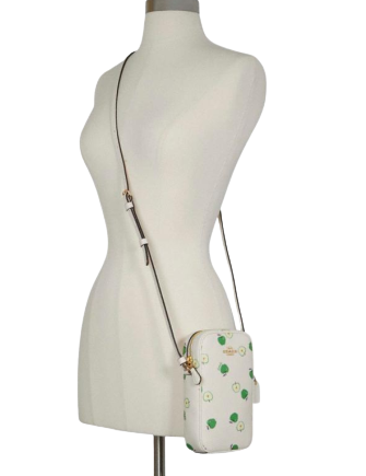 Coach North South Zip Crossbody With Apple Print Brixton Baker