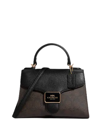 Handbag top coach 2018