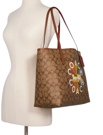 Rainbow signature discount coach purse