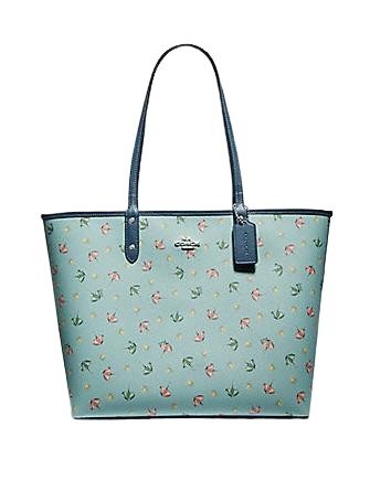 Coach beach 2025 tote
