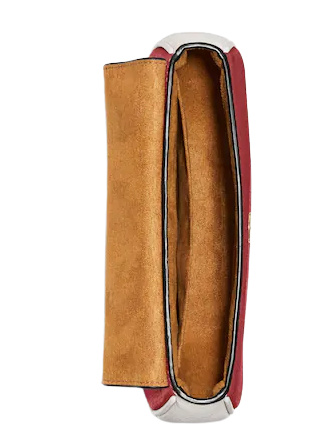 Coach 2025 dreamer saddle