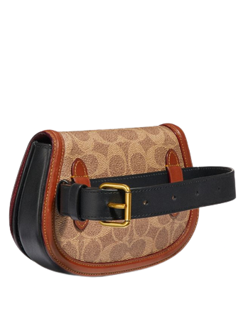 Louis Vuitton Bumbag & Coach Belt Bag Bag Review 