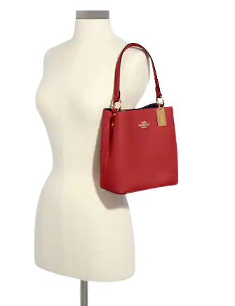 Coach Small Town Bucket Bag