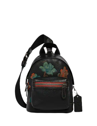 small crossbody backpack