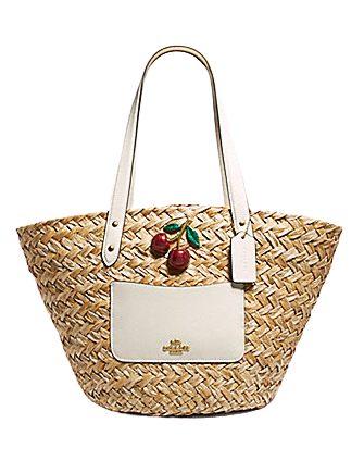 Coach 2025 summer bags