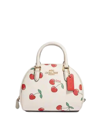 coach cherry bag