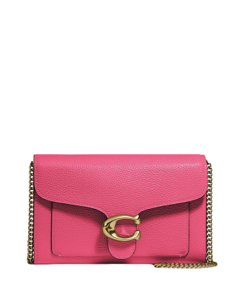 Coach Tabby Chain Leather Clutch Crossbody