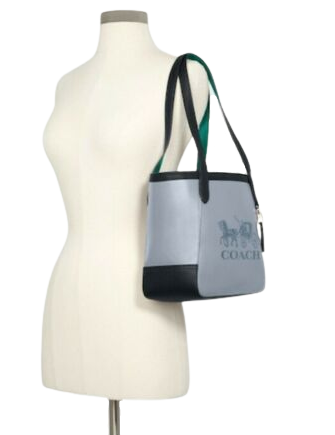 Tote 27 in colorblock with horse and carriage Clearance