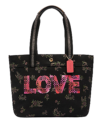 coach-tote-with-jason-naylor- 