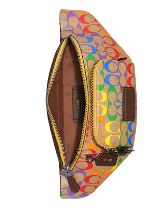Rainbow coach online belt