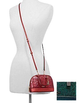 Coach mini 2025 sierra metallic