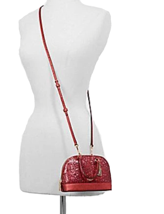 Coach alma mini sales