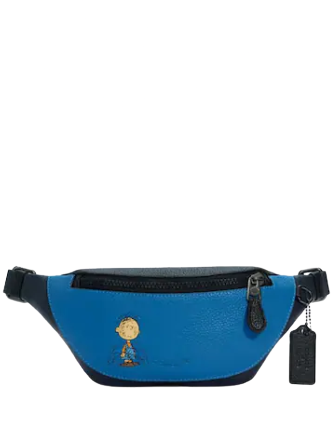Coach best sale pig bag