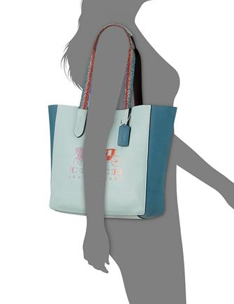 Coach grove signature tote 2025