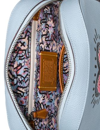 Coach camera online bag keith haring