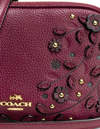 Coach Willow Floral Crossbody Clutch in Pebble Leather Brixton Baker