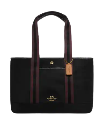 Coach Ellis Tote