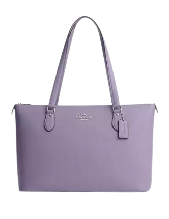 Coach Gallery Tote | Brixton Baker