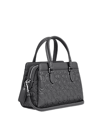 Coach Mini Darcie Carryall With Signature