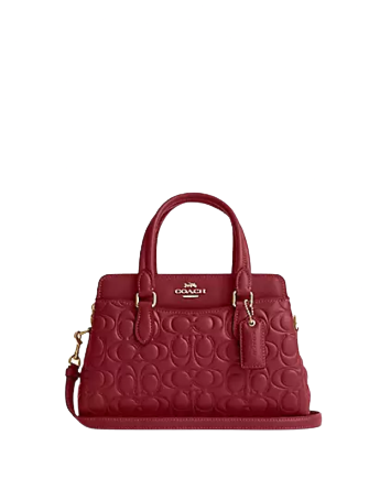 Coach Mini Darcie Carryall With Signature