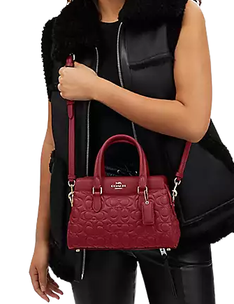 Coach Mini Darcie Carryall With Signature