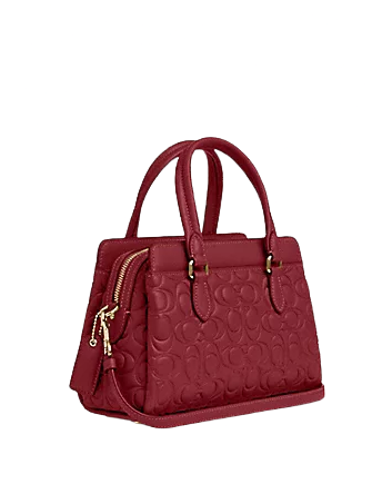 Coach Mini Darcie Carryall With Signature