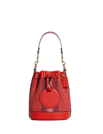 Coach Mini Dempsey Bucket Bag With Coach Patch