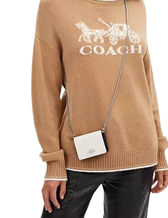 Coach Rhinestone Wallet With Chain Coach Mini Wallet On A Chain | Brixton Baker