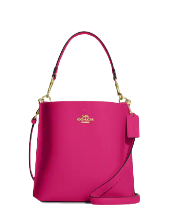 Coach Mollie Bucket Bag 22 | Brixton Baker
