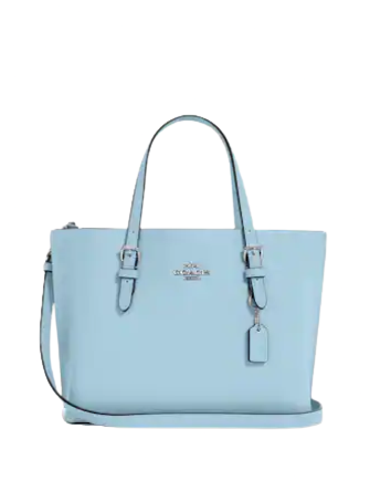 Coach Mollie Tote 25