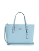 Coach Mollie Tote 25