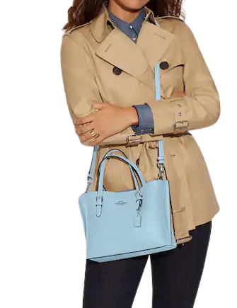 Coach Mollie Tote 25