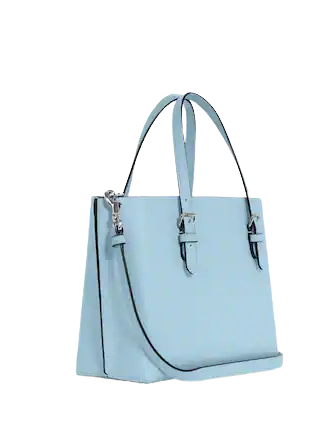 Coach Mollie Tote 25