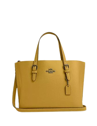 Coach Mollie Tote 25